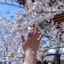 교촌한옥마을 관광안내소 화장실 | 250406 경주 둘째날 - 교촌한옥마을 / 교촌마을 / 경주최부자댁 / 월정교