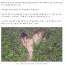 1250년 견뎌온 석굴암 매몰 위기…토함산 산사태 '적신호' 이미지