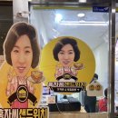 홍자몰