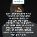 서울더정성치과 이미지