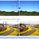 송선로-7 뉴스1