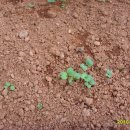 영곤농장 이미지