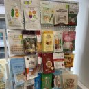 미미애견 이미지