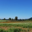 신평동1100 이미지