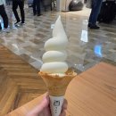 잠실 백미당 아이스크림 후기