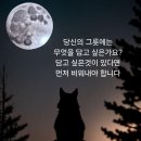 비움 이미지