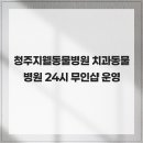 청주지웰동물병원 네이버블로그