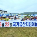 영천청과
