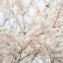 보인한의원 이미지