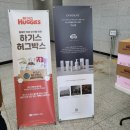 강동문화복지회관 봉두아트홀 | [구미태교음악회후기] 구미 임산부 위한 혜택 , 태교음악회 후기 , 10월 10일 임산부의 날 태교음악회...