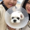 스토리나라 이미지