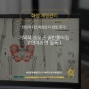 다인프라자 | 화정체형관리 화정역 다인체형관리 방문 후기｜거북목·승모근·골반 틀어짐 고민이라면 필독!