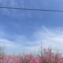 보현산자연휴양림 이미지