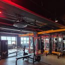 6185 | [서귀포헬스장] 올라운더짐, 현역 선수진에게 받는 프리미엄 PT 성공 후기!