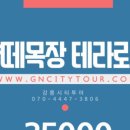 강릉시티투어여행사 이미지