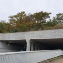 서천장암진성 이미지