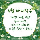 5월30일 토요일 경기방출석부 이미지