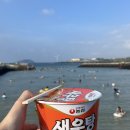 바이크로 제주 서쪽 해안도로 라이딩 (호텔샌드, 판포포구, 미영이네, 핀스)