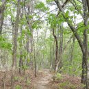 한북정맥 샘내고개~청명골고개~임꺽정봉~대모산성~작고개~호명산~홍복산~녹양역 종주 이미지