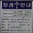 성영환 Daum카페