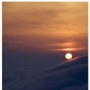 사니조아 이미지