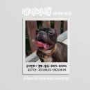 창평로 이미지