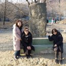 항일독립운동기념비 이미지