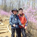 (주)더한농 이미지