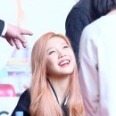 조이레코드