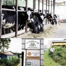 을축목장 이미지