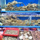 담양상회 이미지