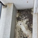 반포대로24길 42-23 이미지