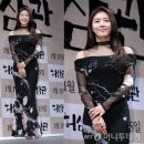 드레스패션