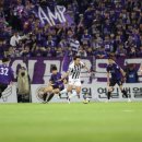 서울양은 이미지