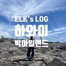(유)힐링아일랜드섬투어 | 하와이 여행 빅아일랜드 힐로공항 화산투어, 이색적인 화산지형과 거북이까지