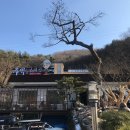 용강농원 이미지