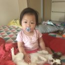 오토준 이미지