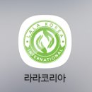 라라샵천안