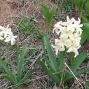 이인농장 이미지