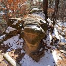 하늘보배 티스토리