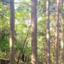 천일민박 이미지