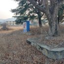 남산초등학교삼성분교장 이미지