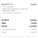 왕손피자동작점