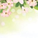 통로골 이미지