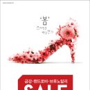 수정제화 이미지