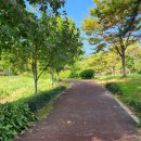 남해읍 공설주차장 이미지