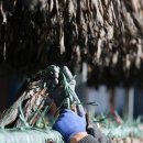 명태덕장 이미지