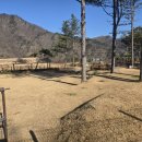 그늘막74 이미지