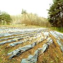 뉴랜드공인중개사사무소 이미지