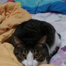 덕봉농장 이미지